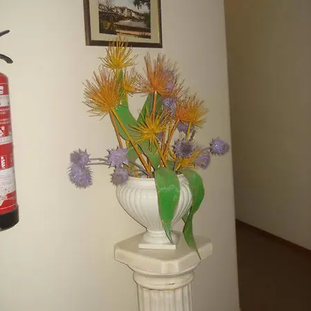 Bonjardim 2*