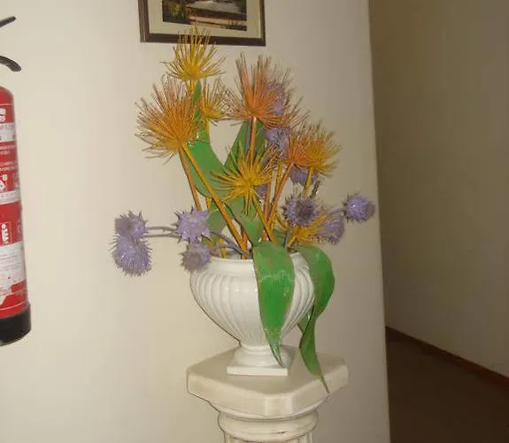 Bonjardim 2*